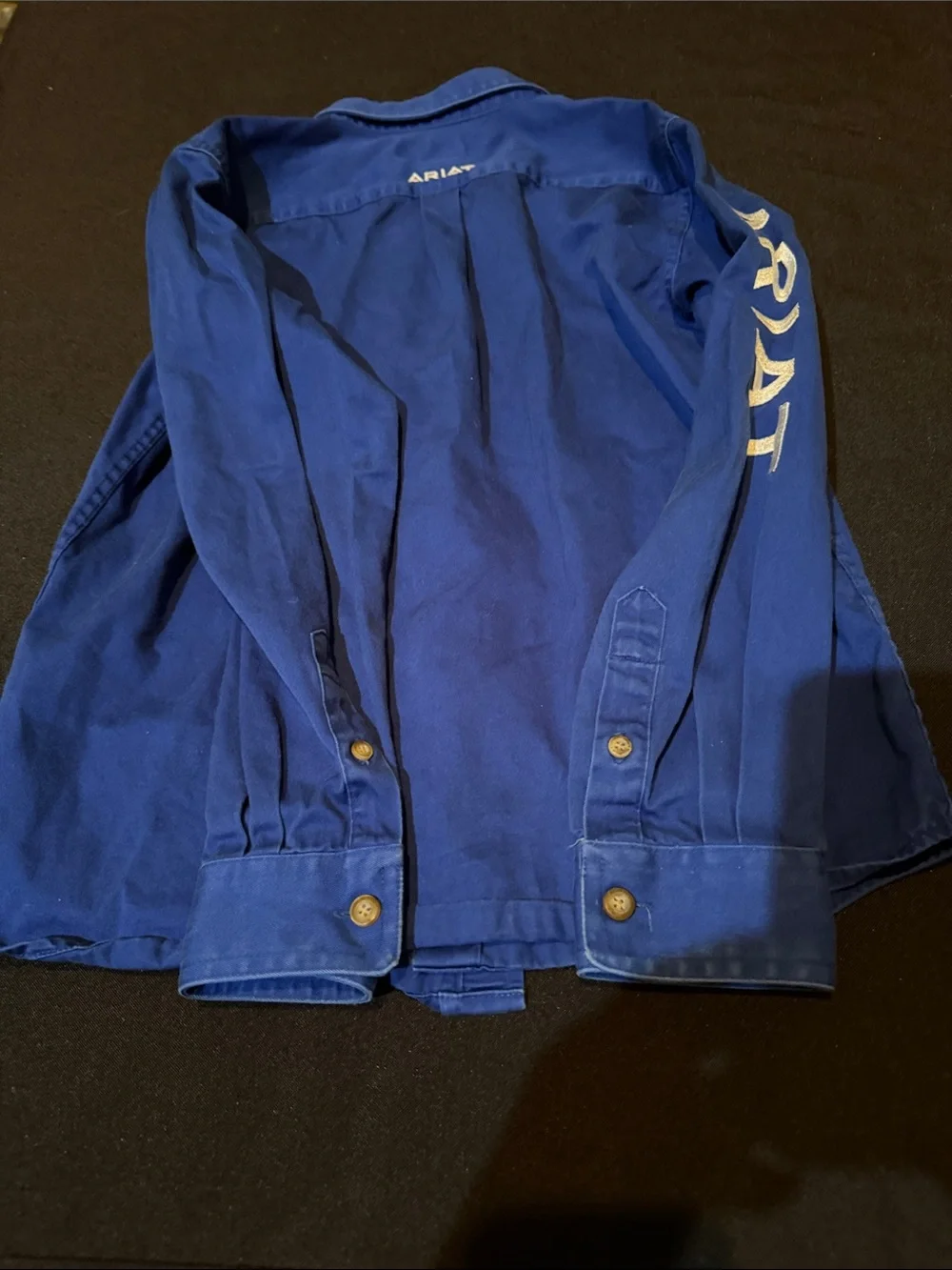 Ariat Men's Button-Down Shirt — Blue with White Logo